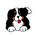8862b09a2d_12070694_o2.gif
